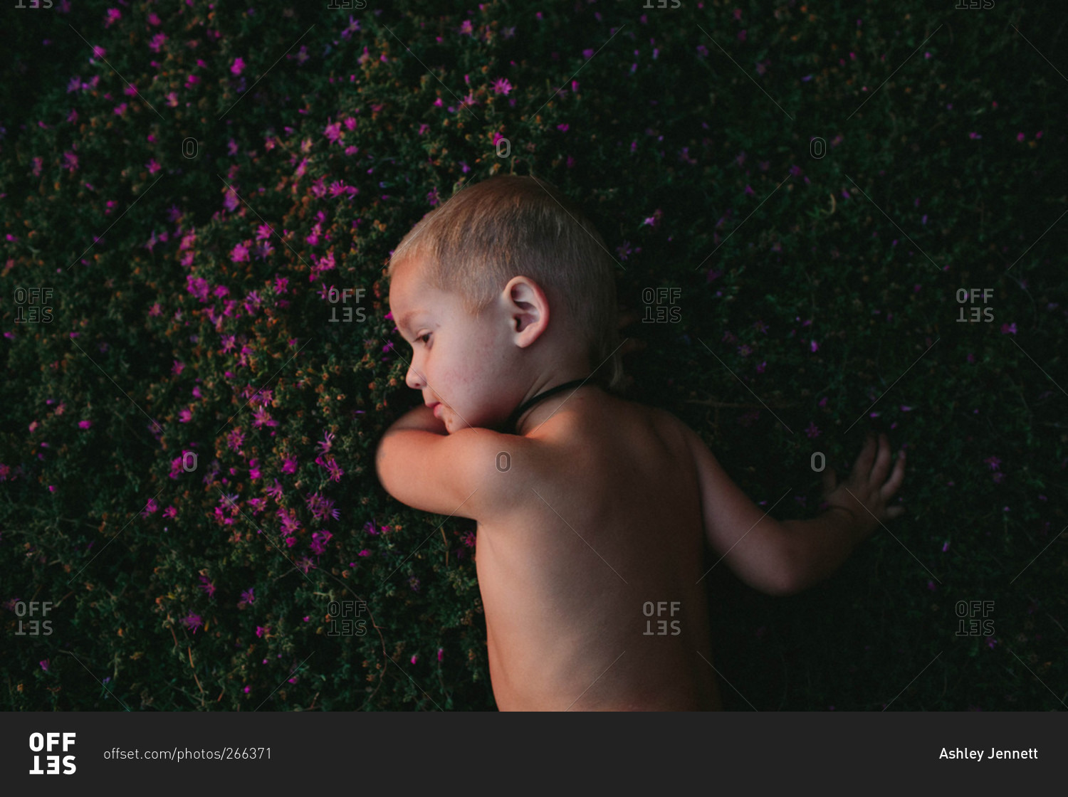 Little boy lying on his stomach in grass with purple flowers