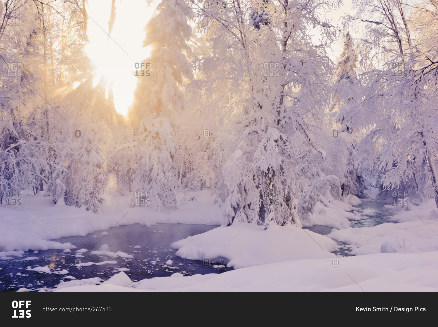 Small stream in a hoar frost covered forest with rays of sun filtering through the fog in the background Russian Jack Springs Park, Anchorage, Alaska, United States Of America