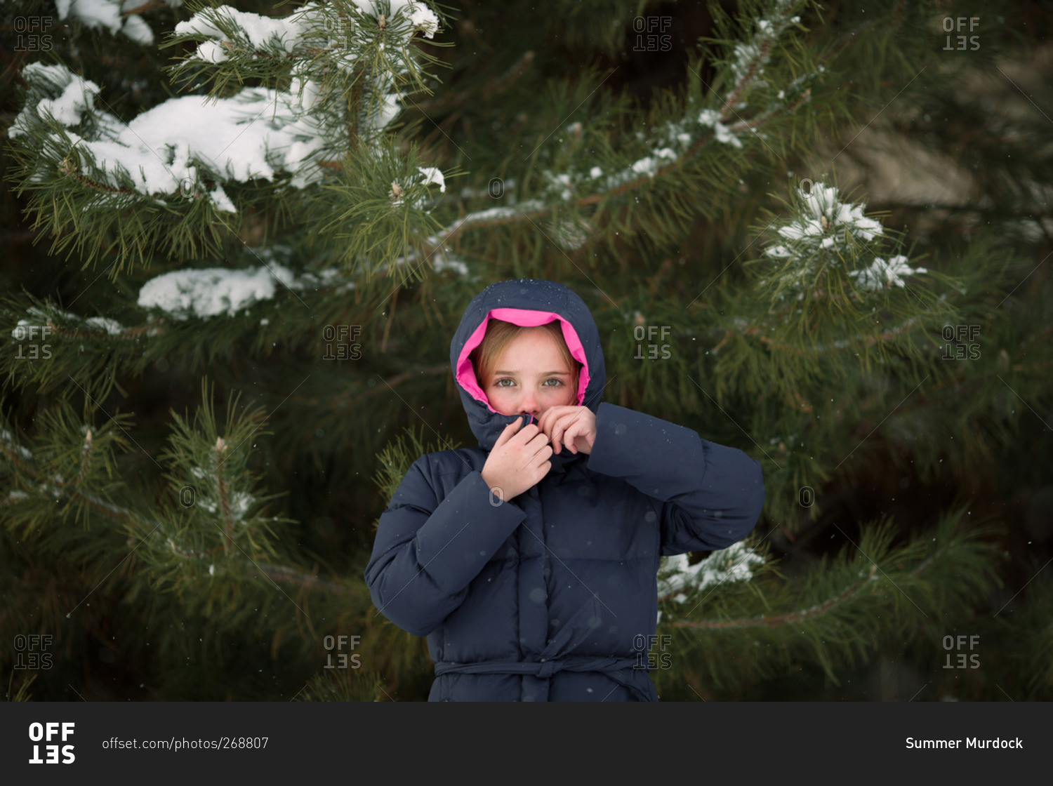 Girl zipping up jacket by fir tree in winter stock photo OFFSET