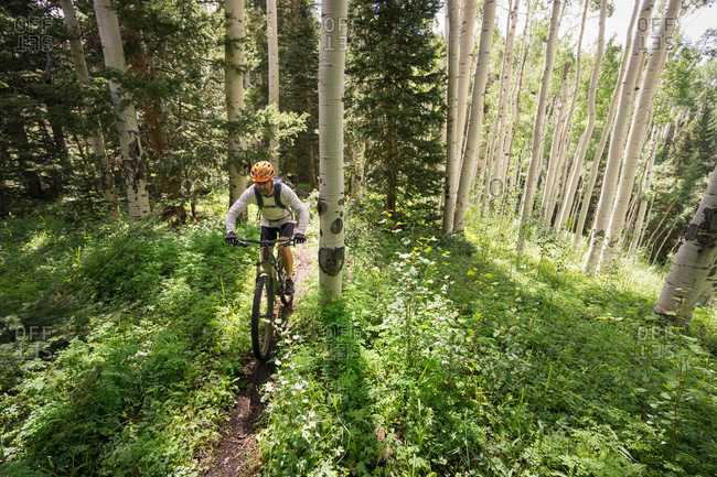 A man mountain biking on a trail in the Alta Lakes area near Telluride, Colorado