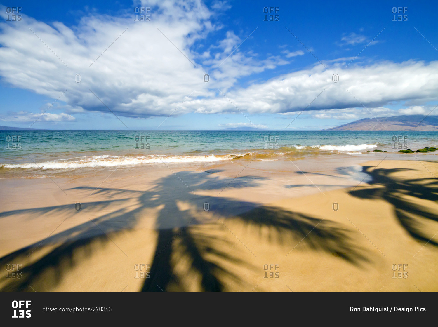 Palm tree shadows on the beach, Keawakapu Beach, Hawaii