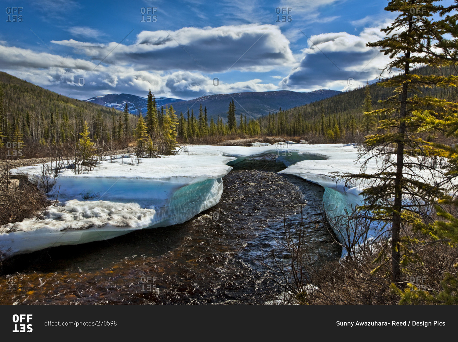 Monument Creek meanders through melting snow in early spring, Chena River State Recreation Area, Fairbanks, Alaska, United States of America