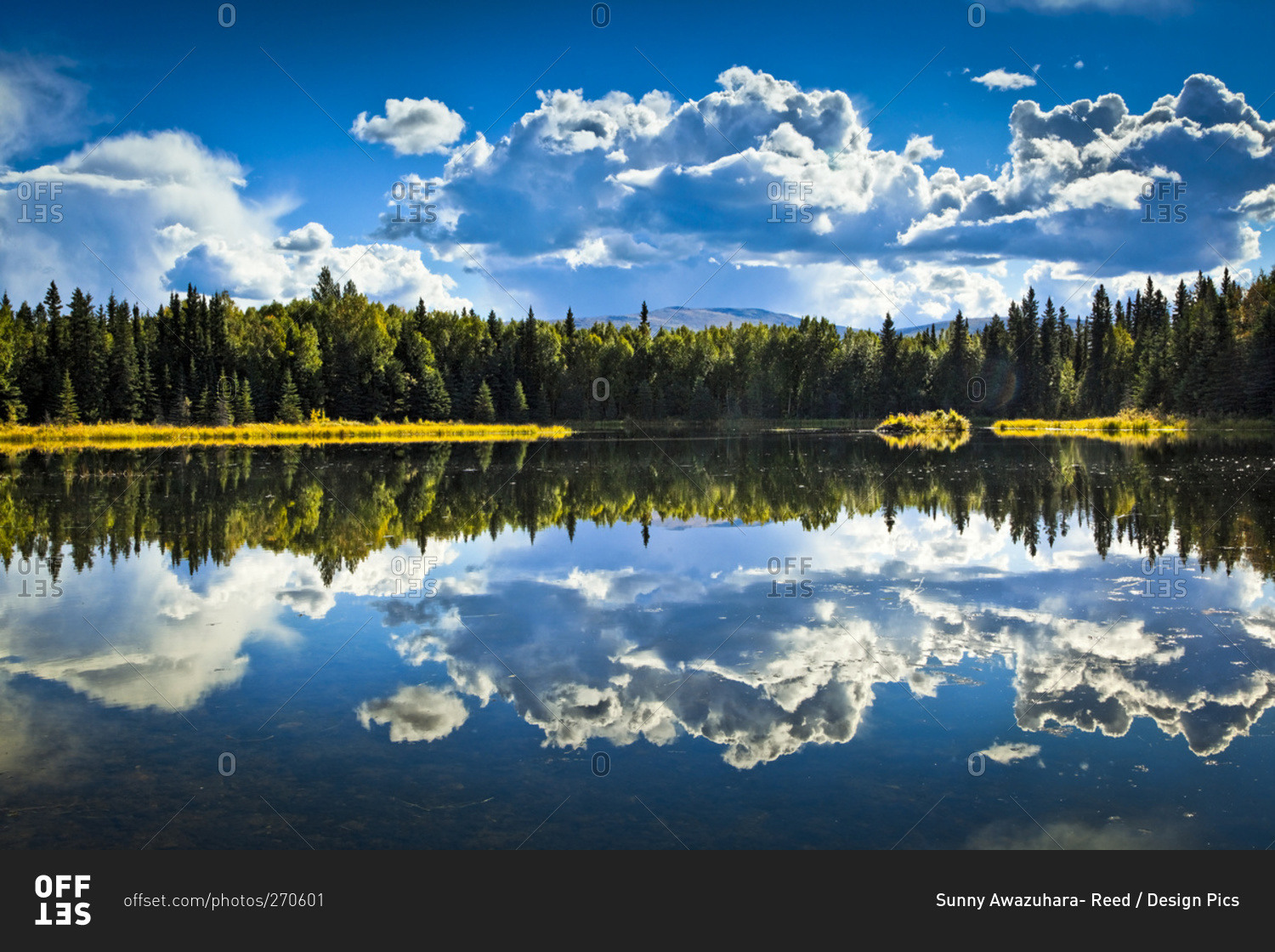 Clouds and boreal forest reflect on 48 Mile Pond, Chena River State Recreation Area, Fairbanks, Alaska, United States of America