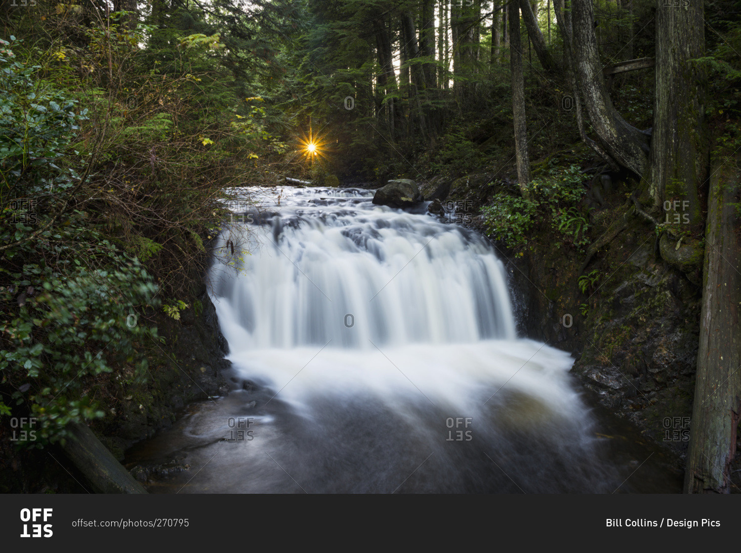 The setting sun creates a star effect shining through the treas above Rolley Falls, Rolley Lake Provincial Park in the Stave Falls area, Mission, British Columbia, Canada