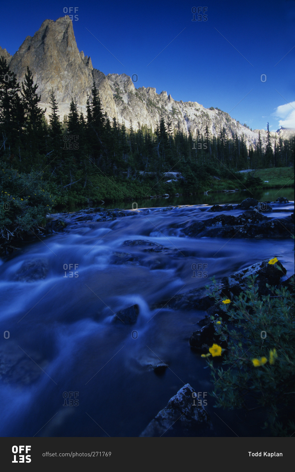 Creek in the woods near El Capitan peak in the Sawtooth National Recreation Area, Idaho