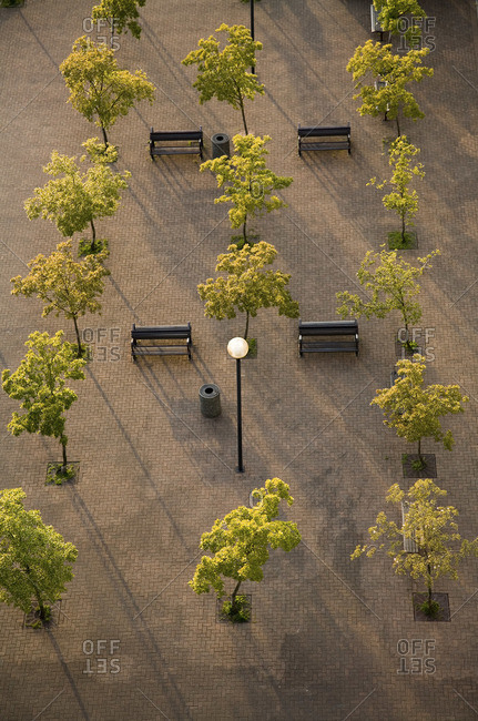 Overview Of Trees And Park Benches Granville Street Bridge