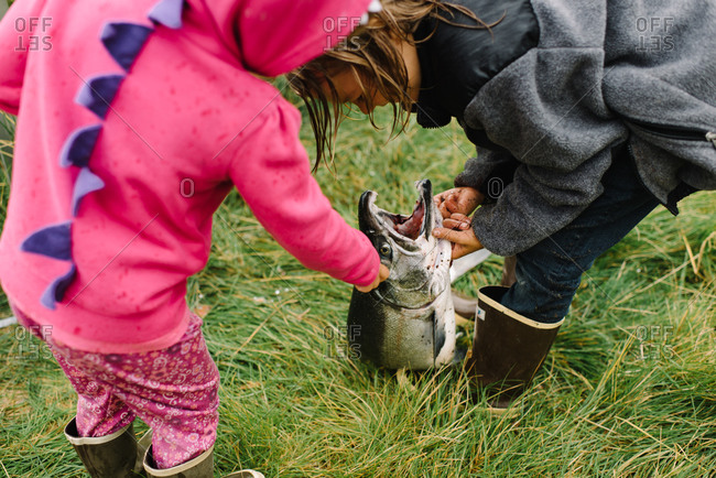 Little girl looking at a big fish her brother caught