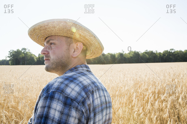 Farmer wearing a checkered shirt and a hat standing in a wheat field