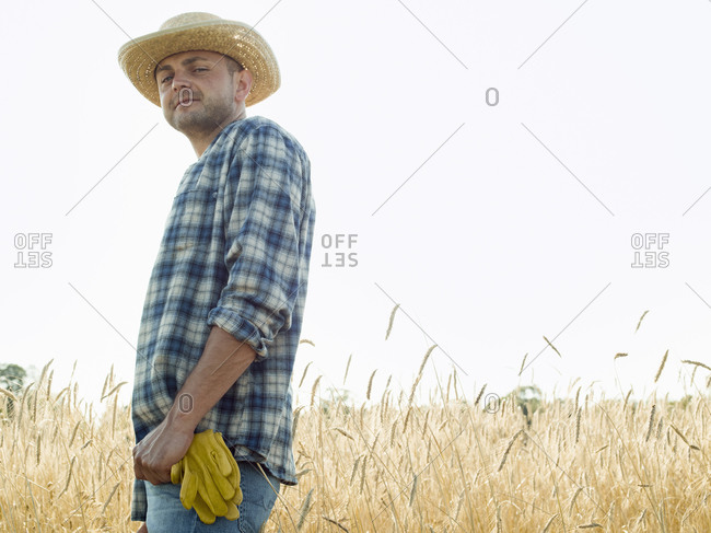 Man wearing a checkered shirt and a hat posing in a wheat field