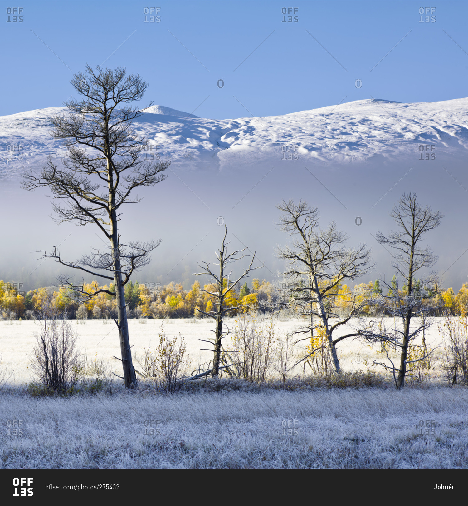 Winter landscape, Rondane National Park