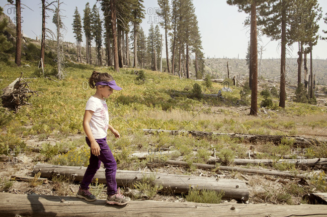 Girl hiking in a wilderness area recovering from wildfire