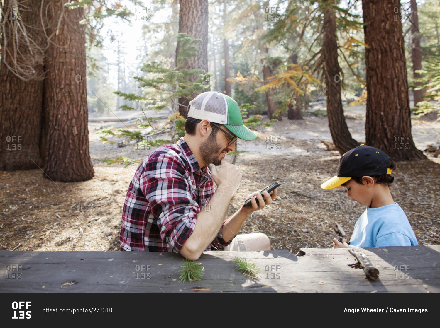 Father with son looking at smartphone in a picnic area