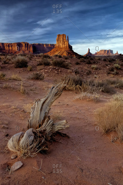Landscape of eroded formations, Monument Valley Navajo Tribal Park, Utah, USA