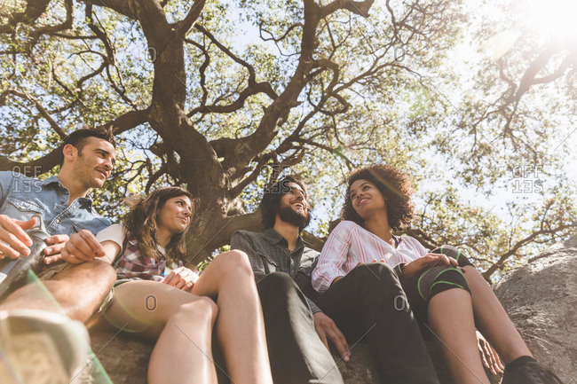 Group of young adults sitting on a large tree branch