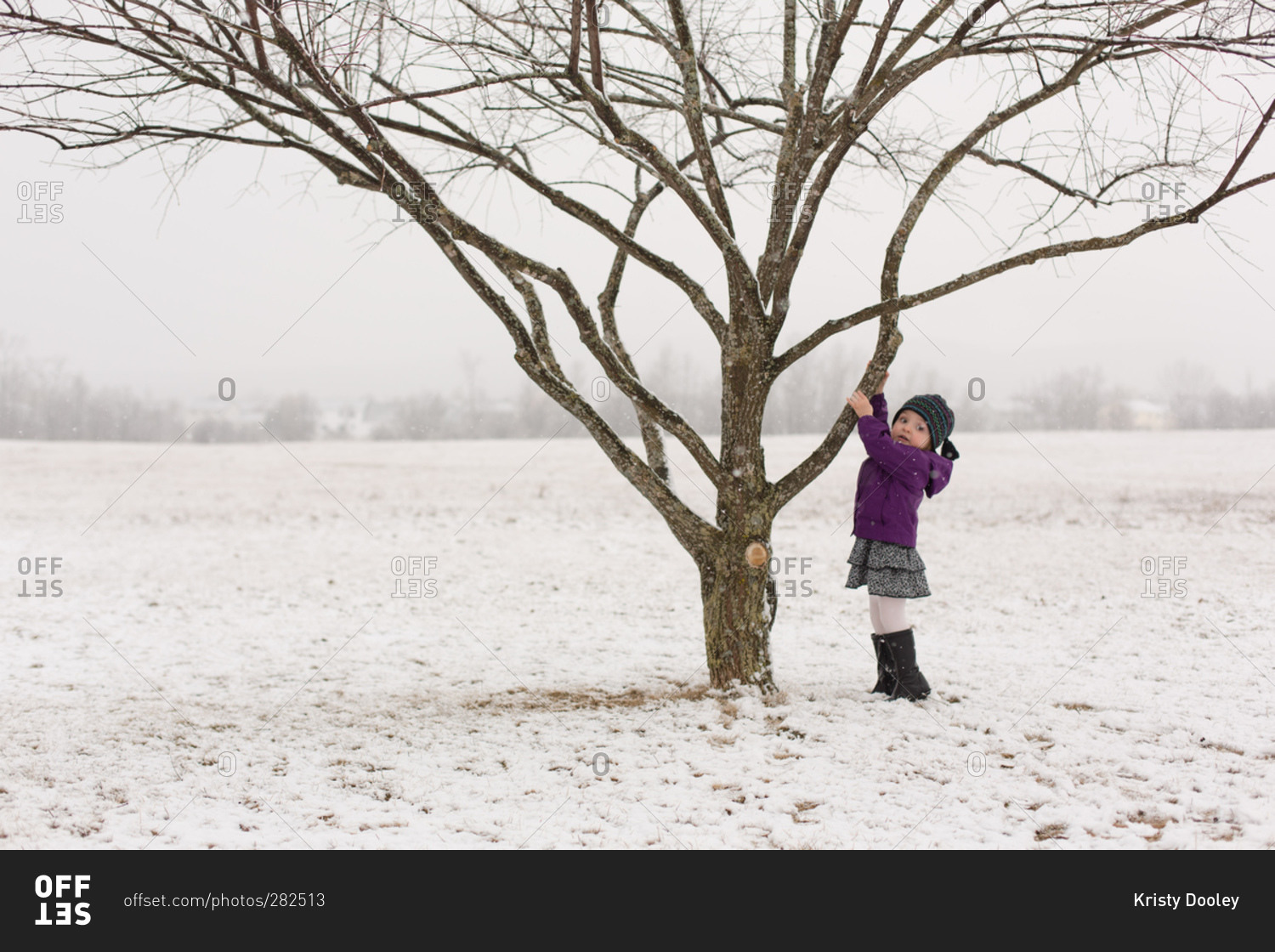 Girl climbing a tree in winter snow