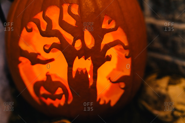 Spooky tree carved in a pumpkin