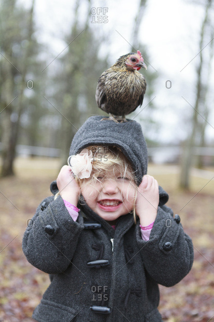Chicken sitting on top of little girls head