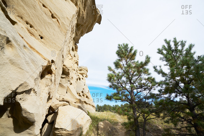 Eroded rocks and trees