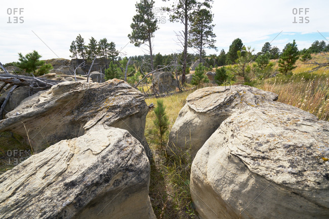 Eroded boulders in a field