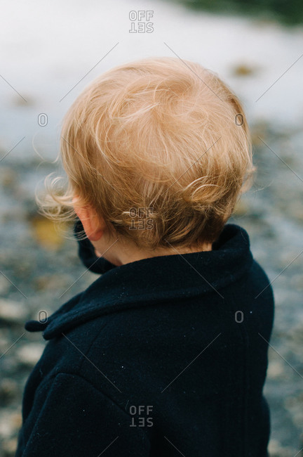 Back View Of Toddler S Curly Blond Head Stock Photo Offset