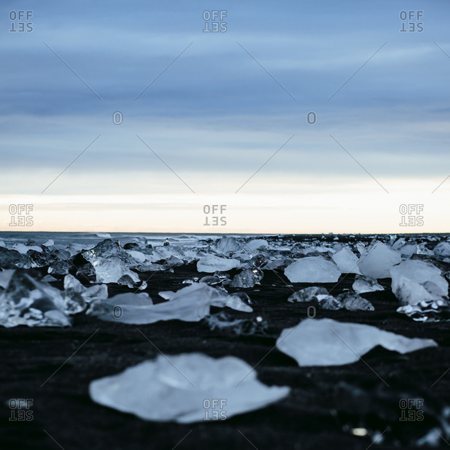 Ice chunks on a black beach in Iceland