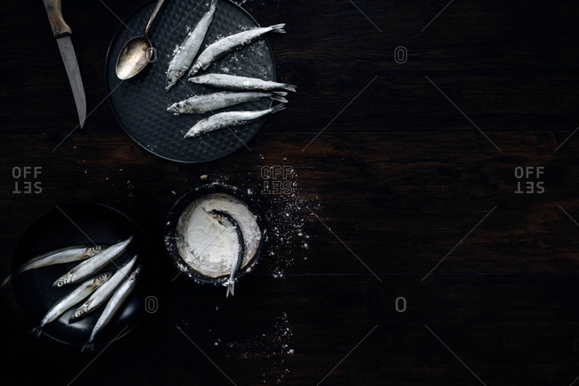 Several Japanese saltwater fish