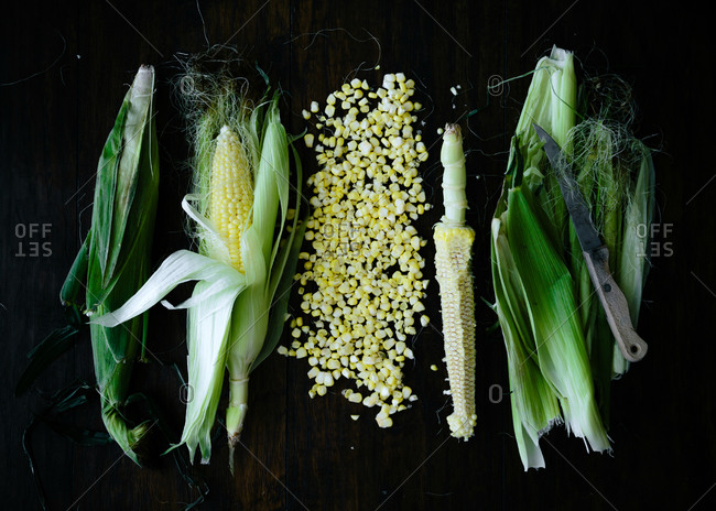 Pile of corn kernels by ears