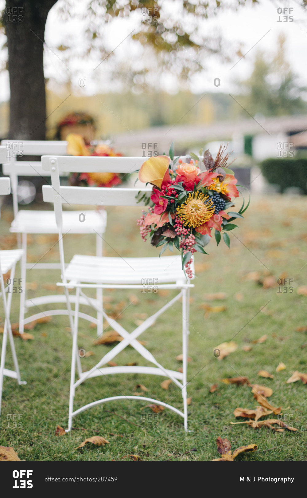 Chairs set for outdoor fall wedding