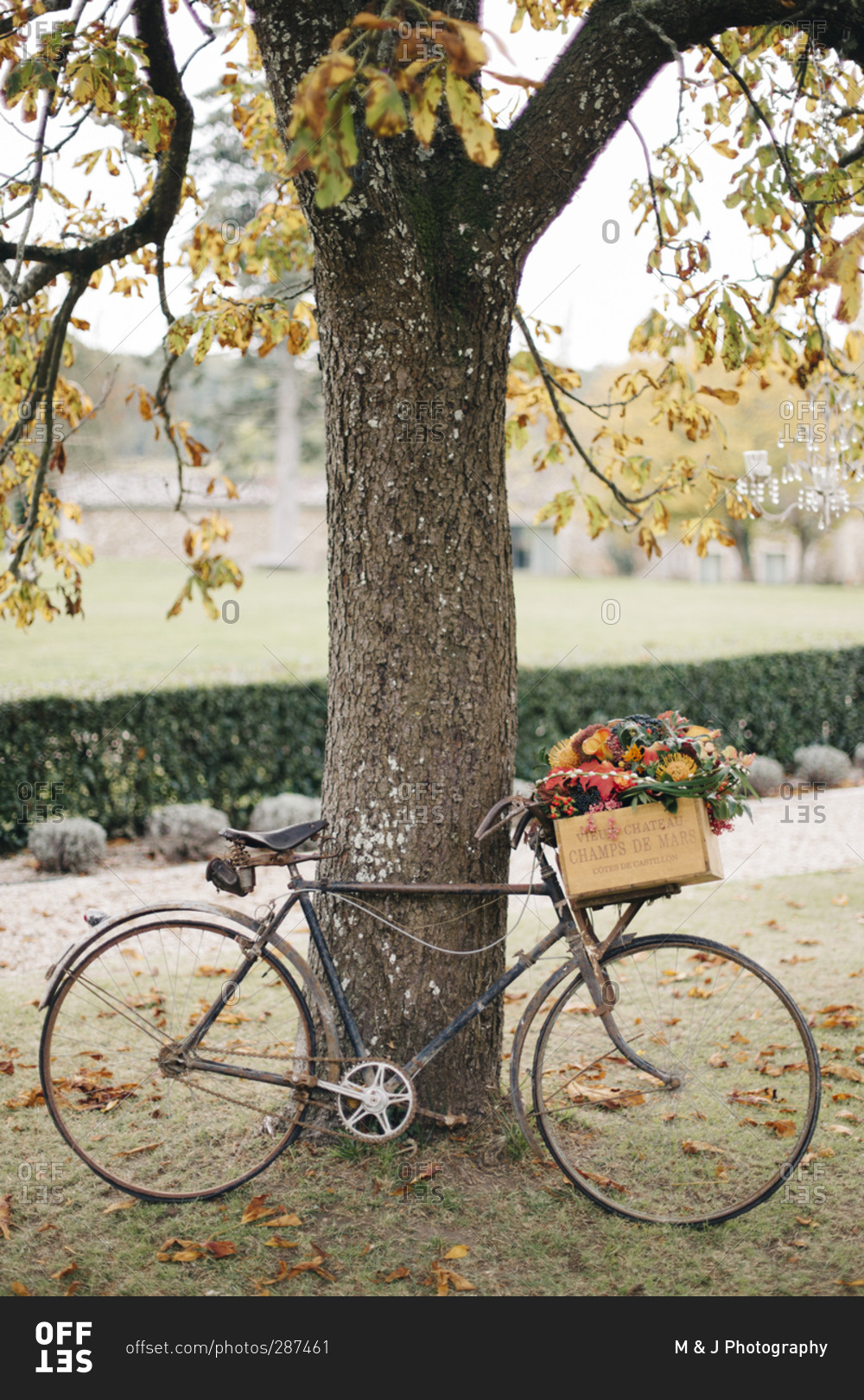 Bike with flower decoration for fall wedding