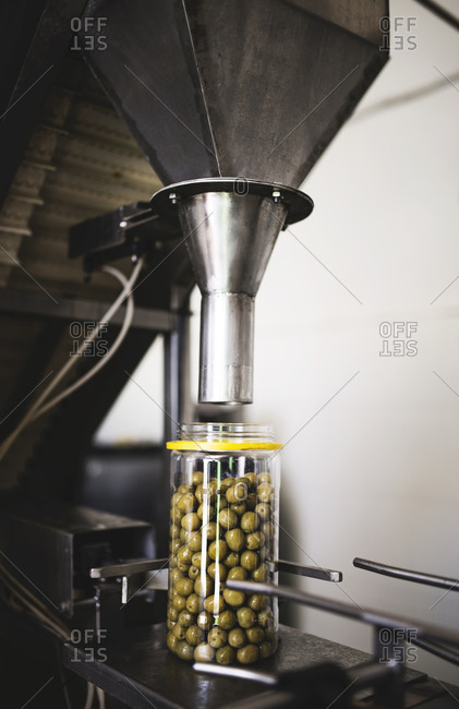 Olive oil filler machine in food processing plant