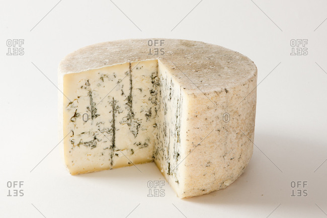 Wheel of rustic style blue cheese