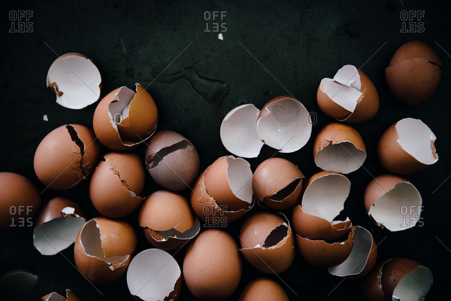 Several cracked egg shells