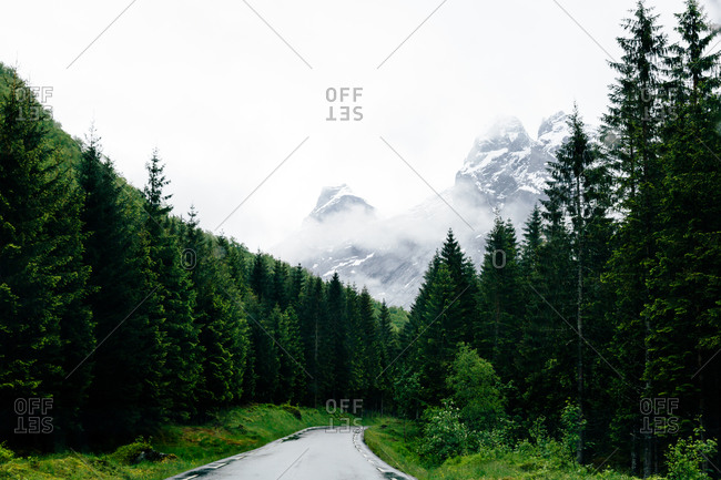 Road leading into Norwegian wilderness