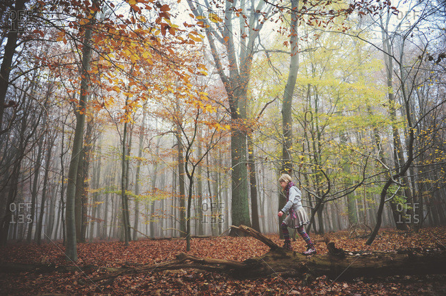 Girl on log in misty fall woods