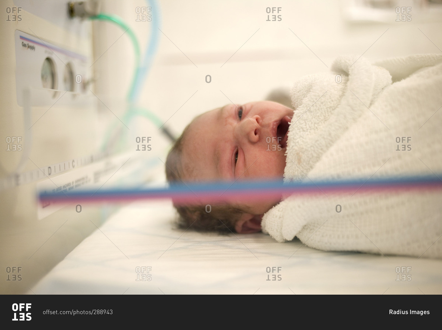 Newborn Baby in Delivery Room