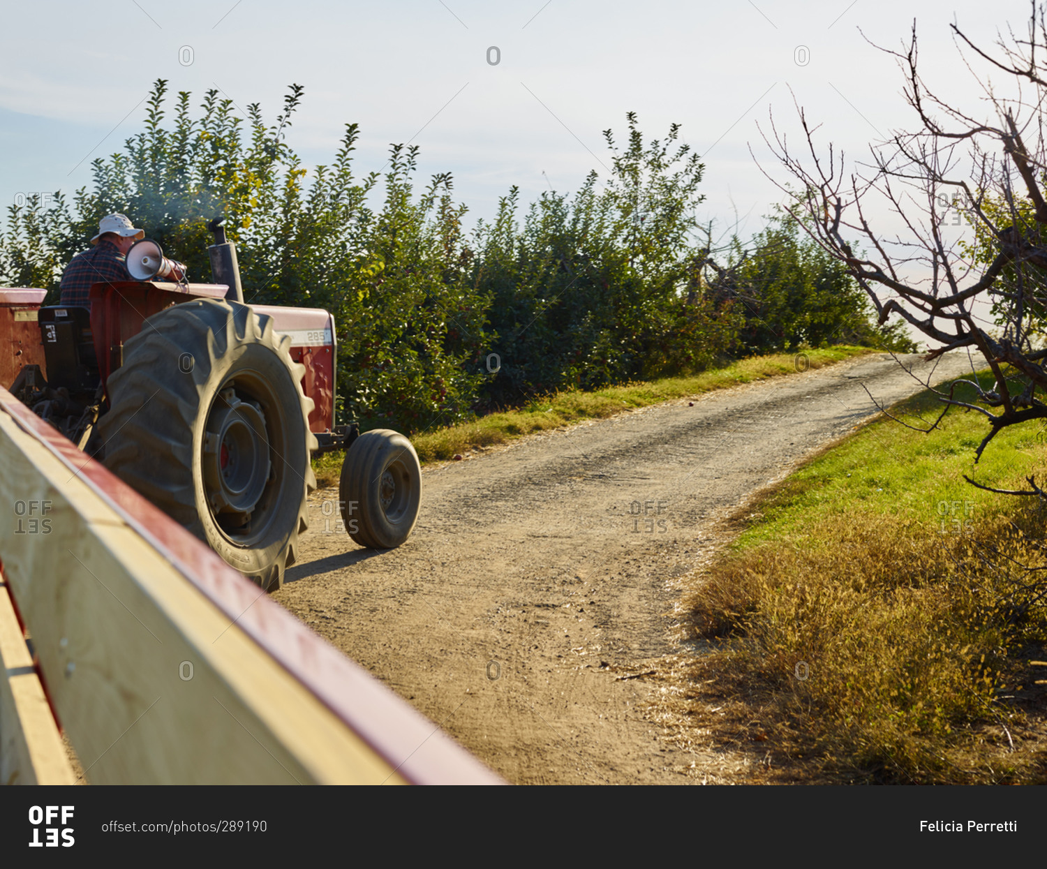 Farmer riding tractor on dirt road on farm