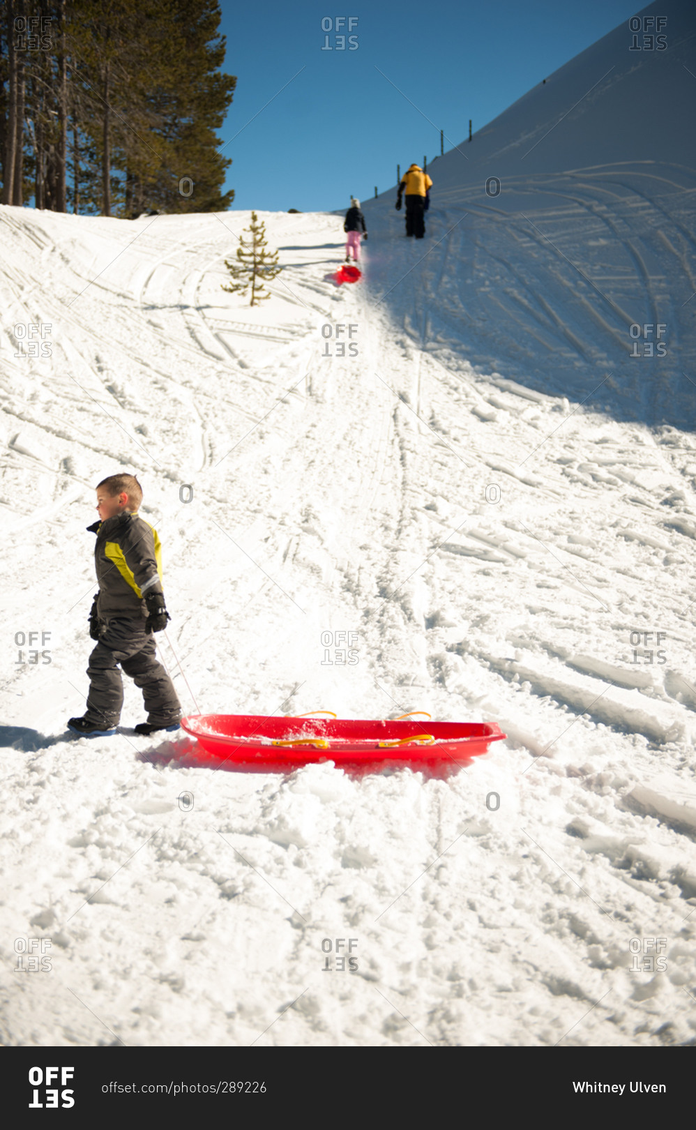 Children sledding on a hill in winter