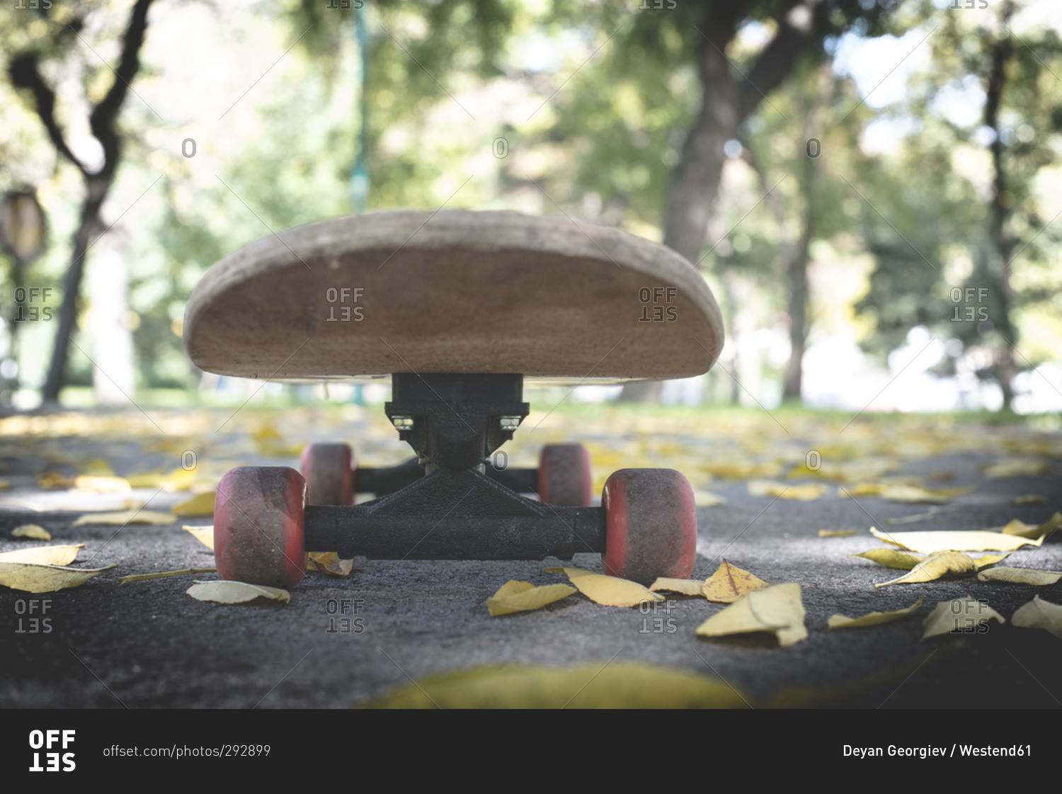 Skateboard in park in autumn