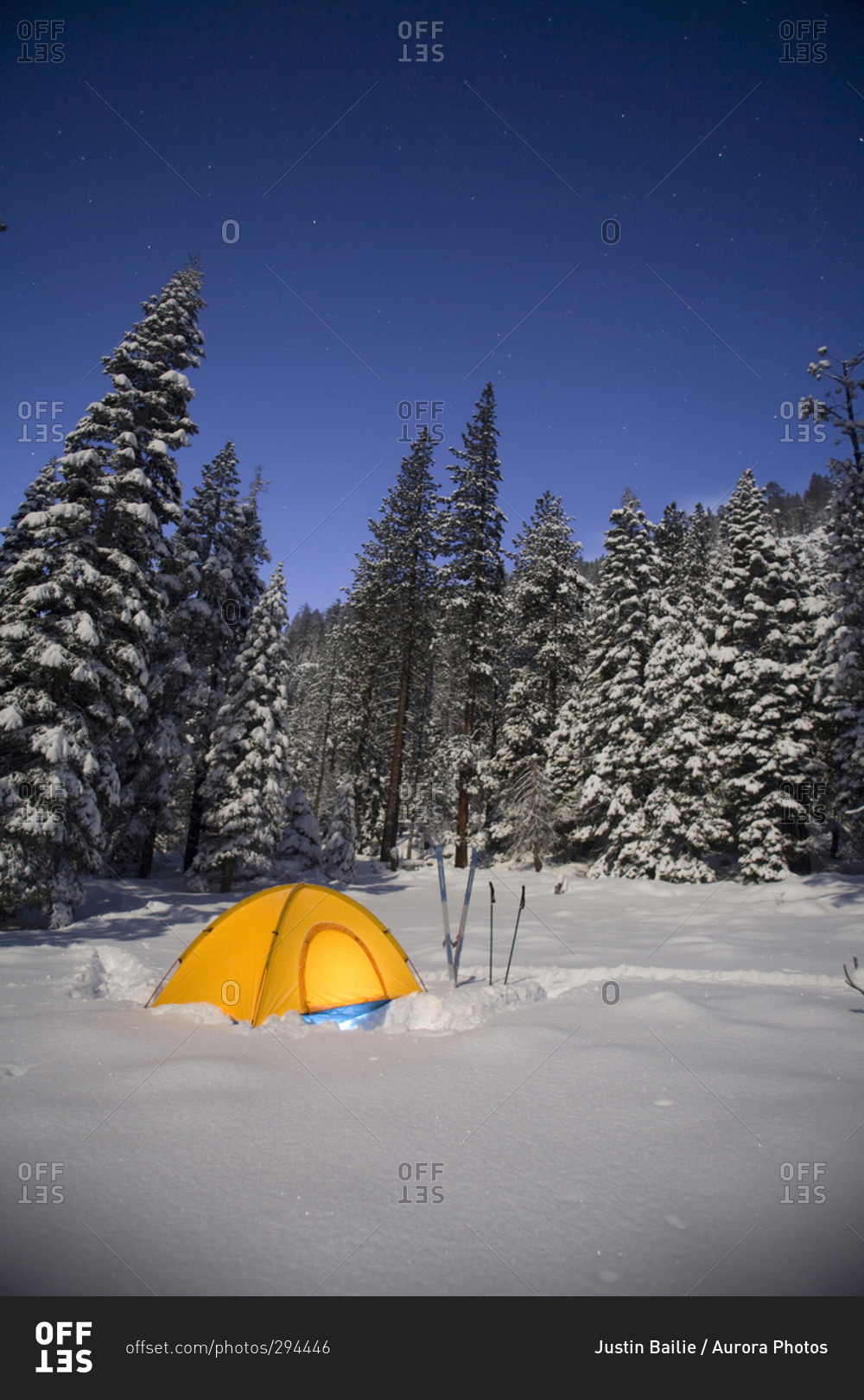 A snow camping tent among trees in South Lake Tahoe, California