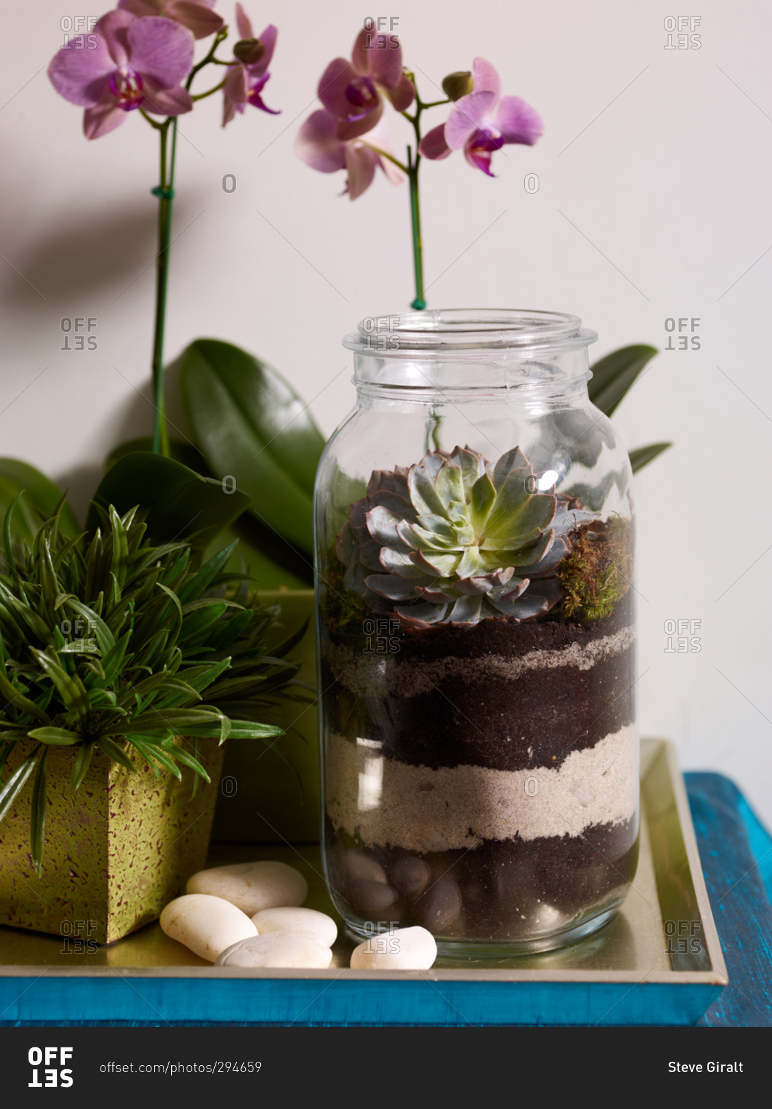 Purple orchids and a mason jar terrarium