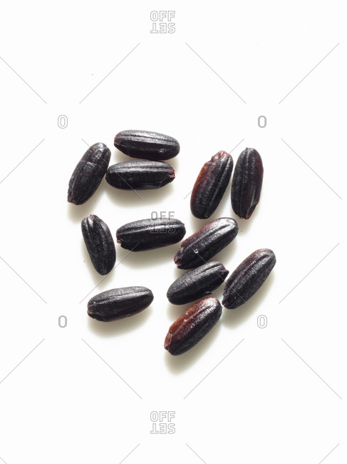 A dozen cocoa beans - Offset