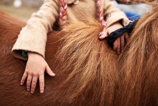 Girl with hands on young horse