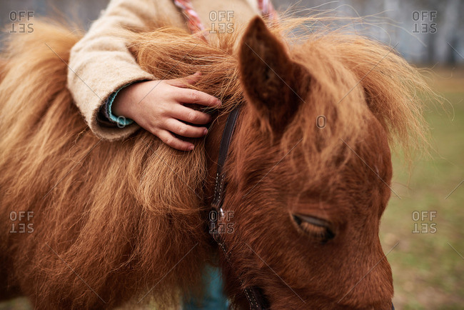 Girl embracing a young horse