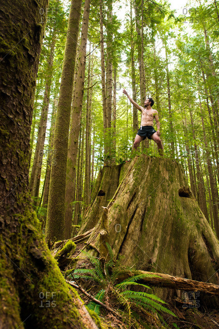 tree pose stock photos - OFFSET