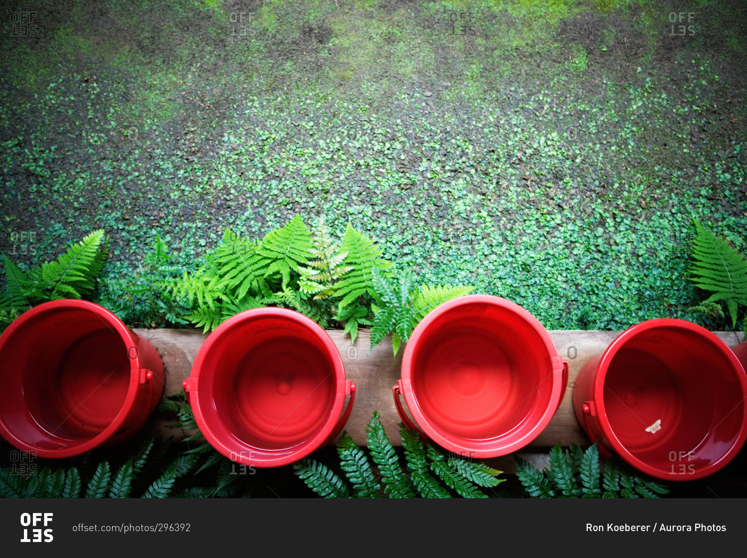 Top view of four red plastic buckets in a row. stock photo OFFSET