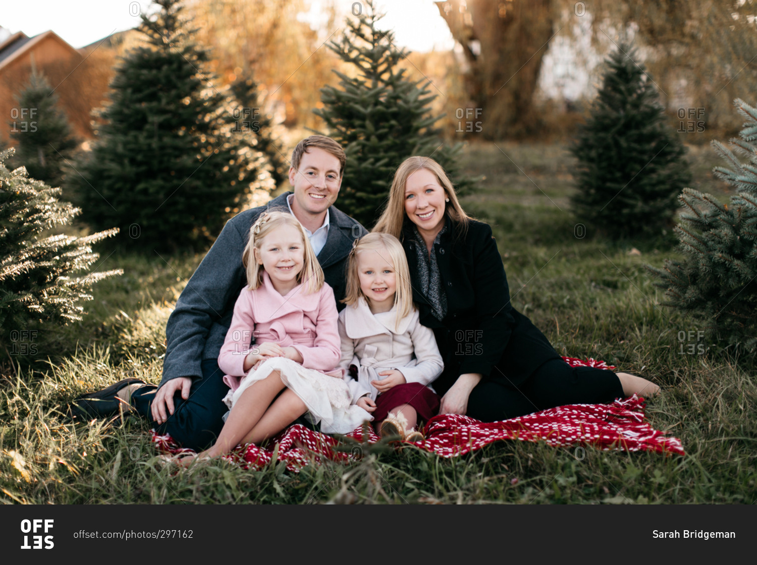 Young family at a Christmas tree farm