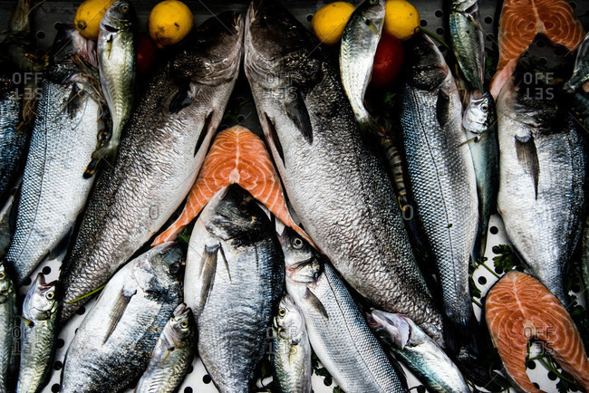 Close up of whole and filleted fish