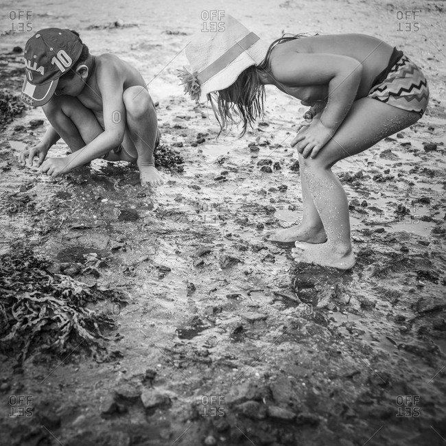 Young boy and girl exploring tidal zone of beach