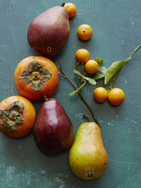Close up of colorful fall fruit