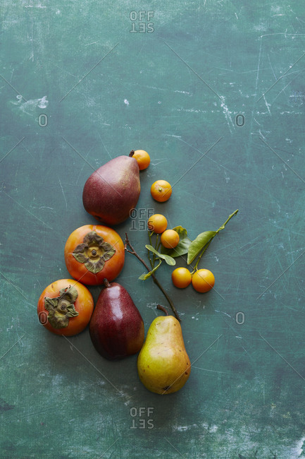 Autumn fruit from the Offset Collection